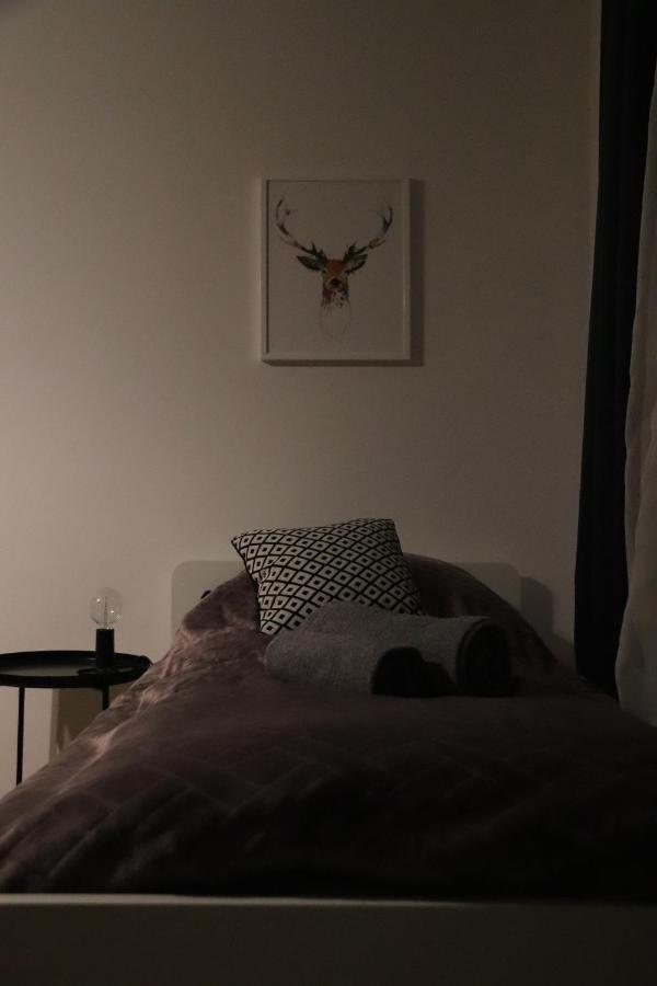 Szeroka View Apartment كراكوفيا المظهر الخارجي الصورة
